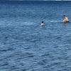 Plage de Figuerolles