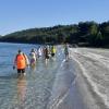 Plage de Figuerolles
