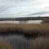 Etang de Bolmon 4 février