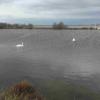 Etang de Bolmon 4 février