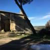 Jeudi 11 février Castillon-Saint Blaise