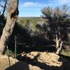 Jeudi 11 février Castillon-Saint Blaise