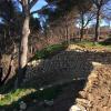 Jeudi 11 février Castillon-Saint Blaise