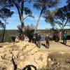 Jeudi 11 février Castillon-Saint Blaise