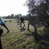 jeudi 18 mars castillon