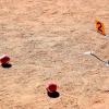 Initiation au Gateball