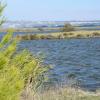 Etang de Bolmon