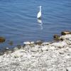 Fos sur Mer