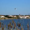 Fos sur Mer