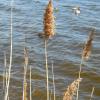 Fos sur Mer
