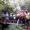 Le petit pont de bois