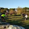 Vendredi 19 novembre le tour de l'étang de l'Estomac Fos sur Mer