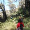 Jeudi 25 mars Castillon
