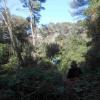 Jeudi 25 mars Castillon