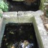 Mardi 8 juin Fontaine du Loup