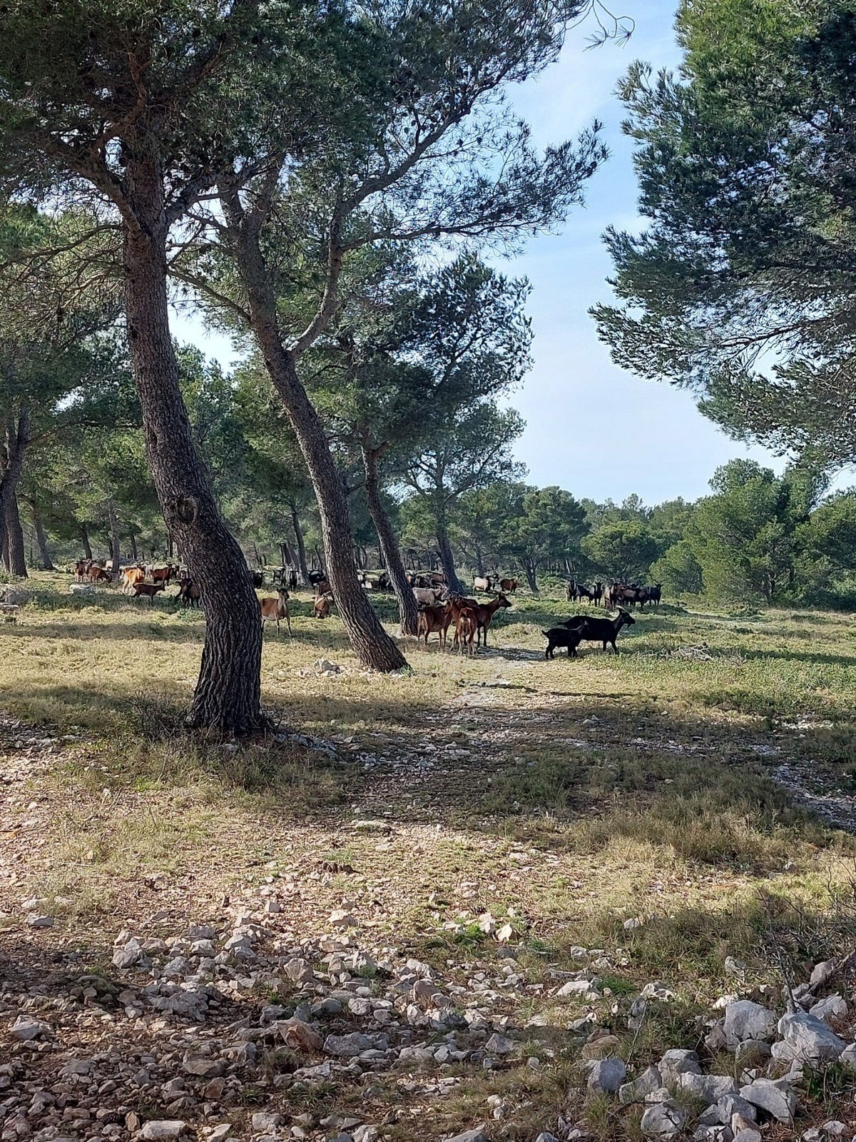 le trou du Loup