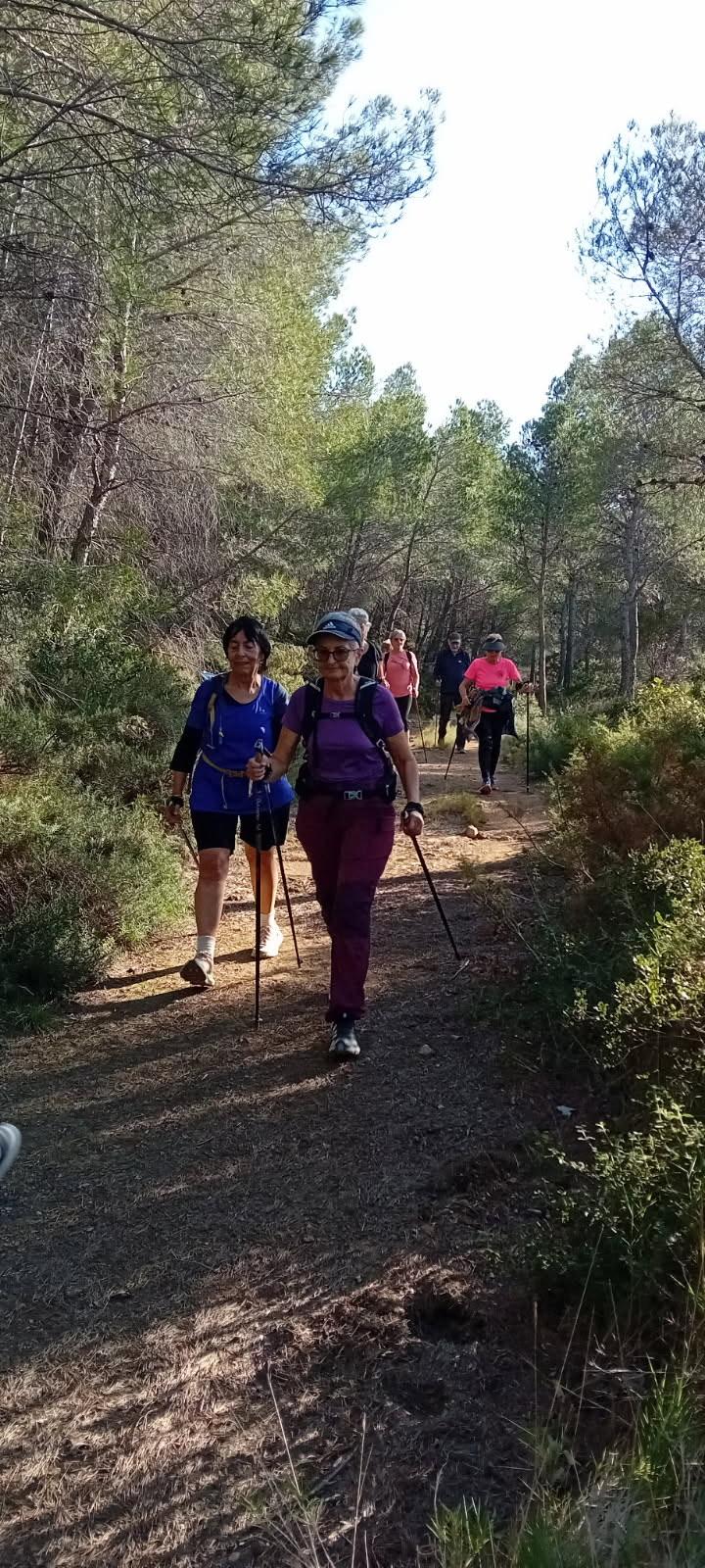 Figuerolles jeudi 13 novembre 2025