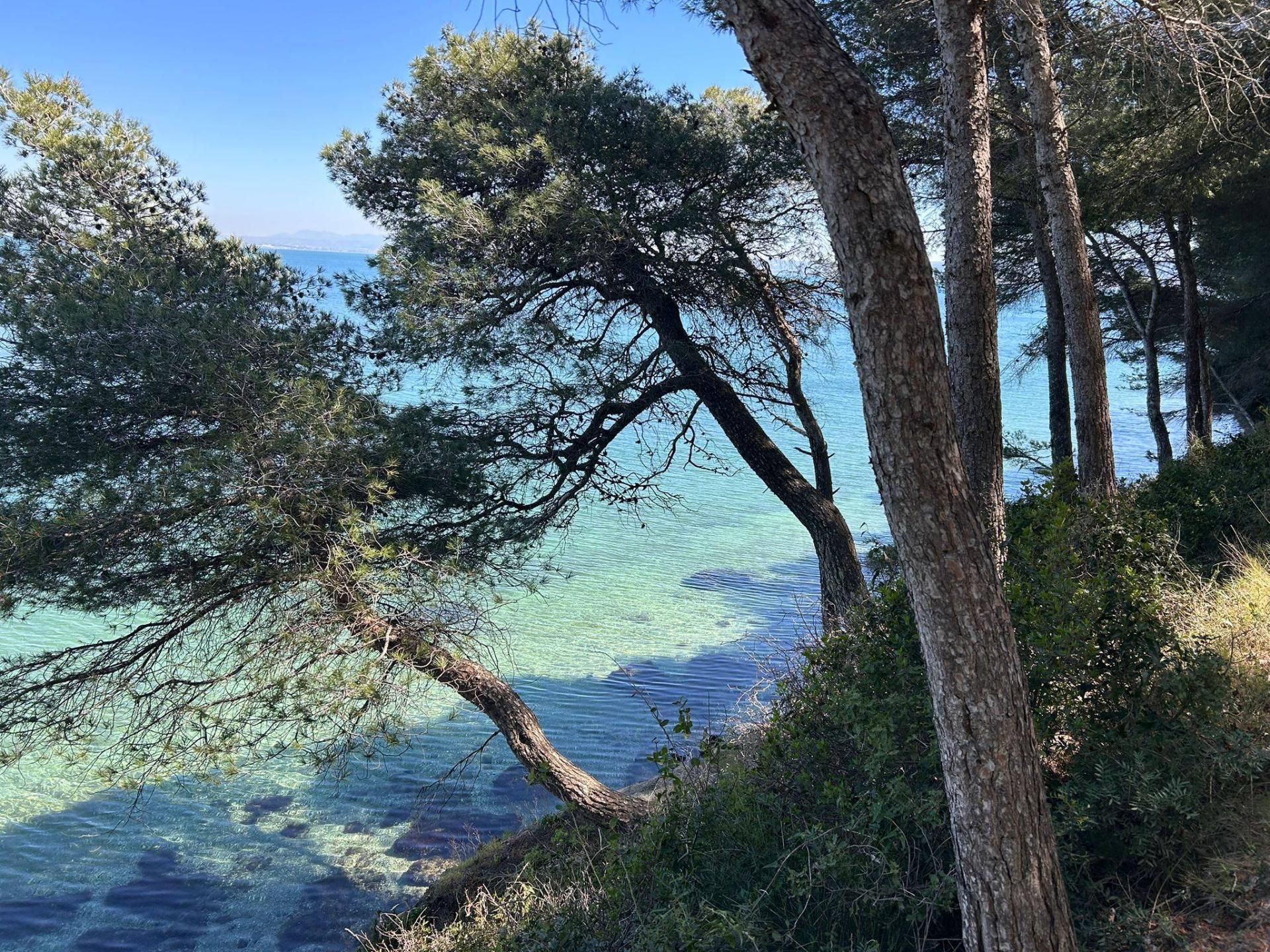 Figuerolles 9 avril  2026