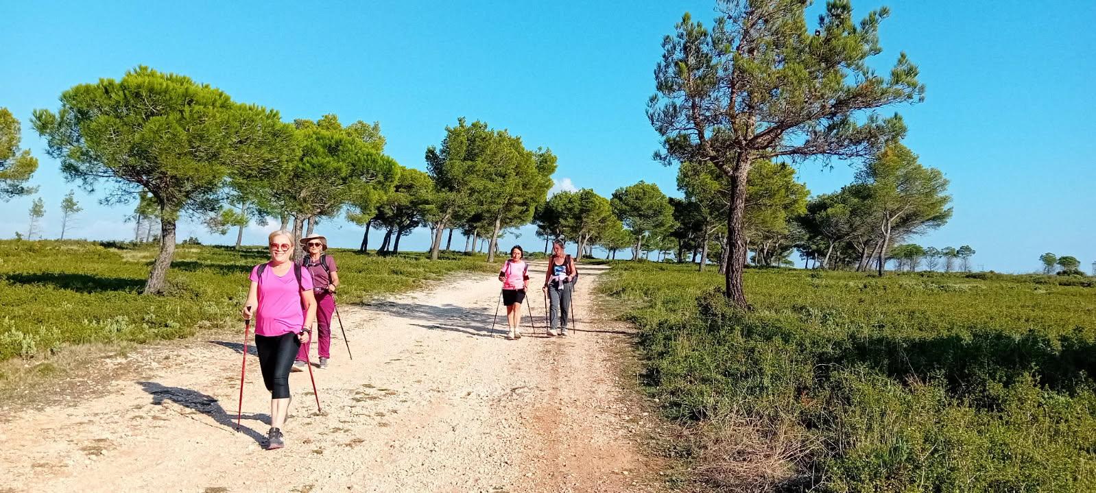 La Gatasse jeudi 16 octobre 2025